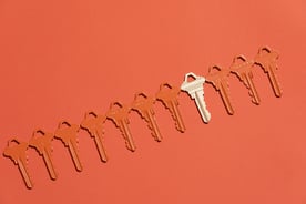 AllySchmaling-HubSpotProps-219-768x512-99e198c