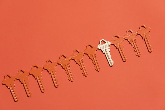 AllySchmaling-HubSpotProps-219-768x512-99e198c