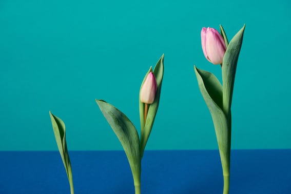 2022-1_blogteam_colorsweep490-800x534-8782330