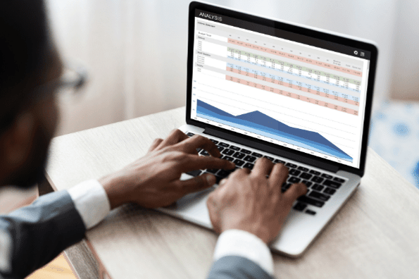 Data analyst evaluating master data on a laptop