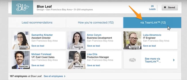 linkedin sales navigator team: teamlink section