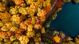 Screenshot 2021-10-27 113234